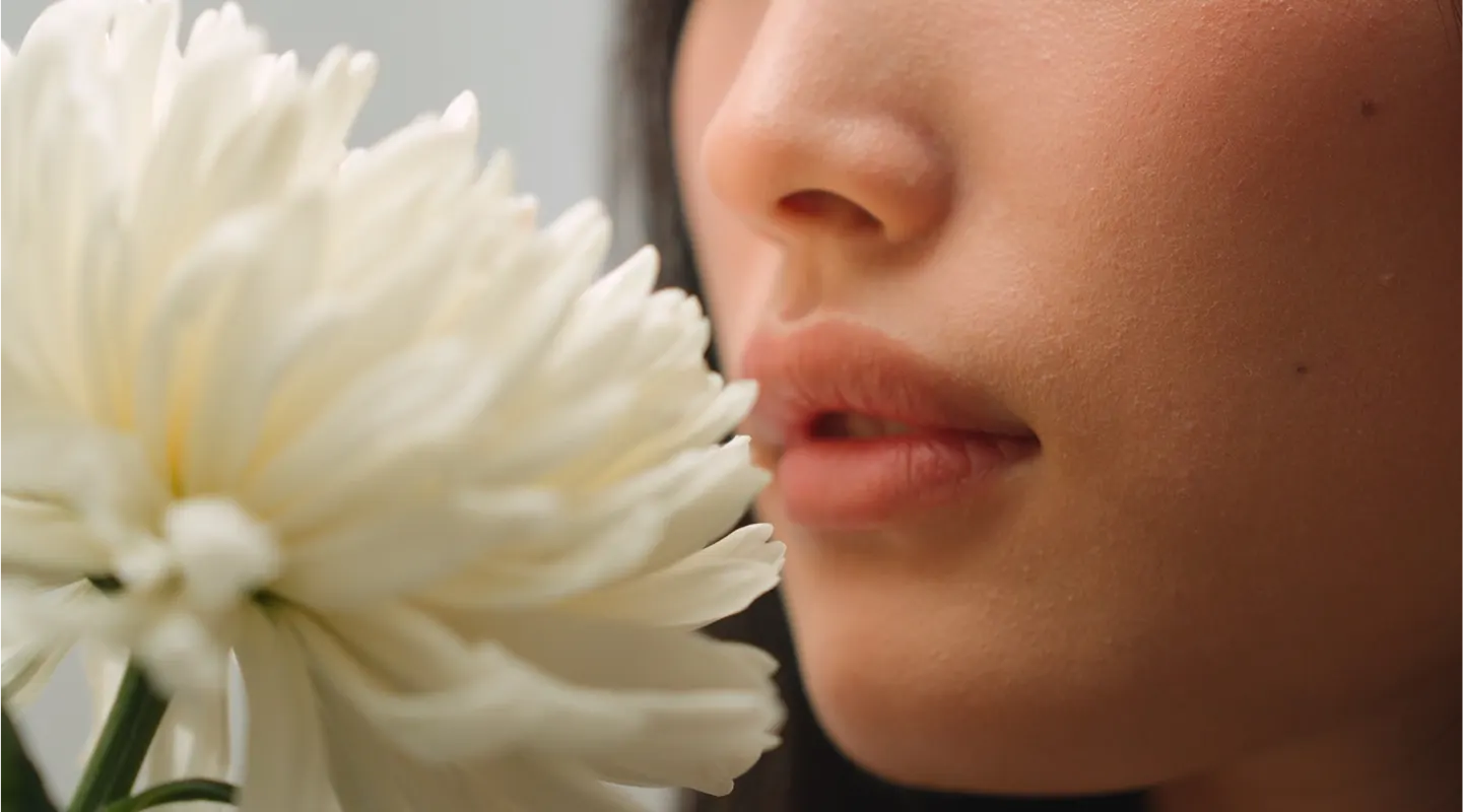 Close-up of a white chrysanthemum held near a woman’s lips